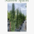 The Best Trees for Screening Narrow Spaces